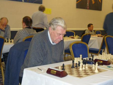 Wood Green Hilsmark Kingfisher 2