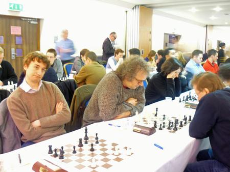 Wood Green Hilsmark Kingfisher 1