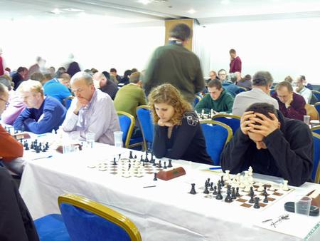 Wood Green Hilsmark Kingfisher 2